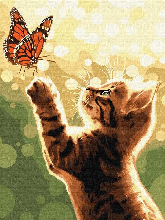 Produktbild Ideyka Malen nach Zahlen - Katze und Schmetterling 30 x 40 cm