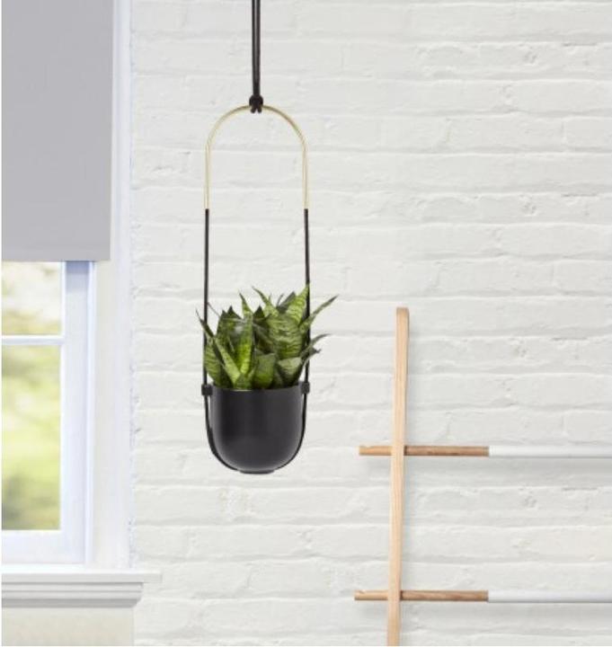 Actual product image Umbra Bolo (15 cm)