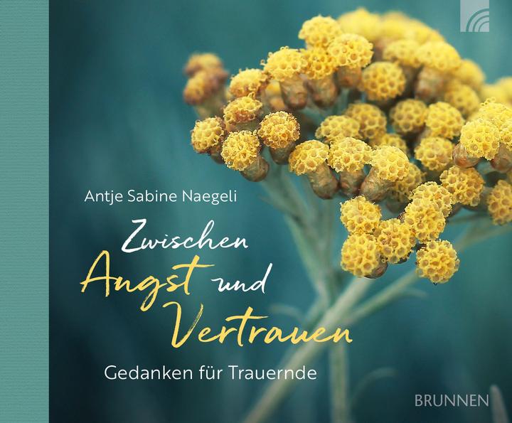 Produktbild Zwischen Angst und Vertrauen (Deutsch, Antje Sabine Naegeli, 2022)