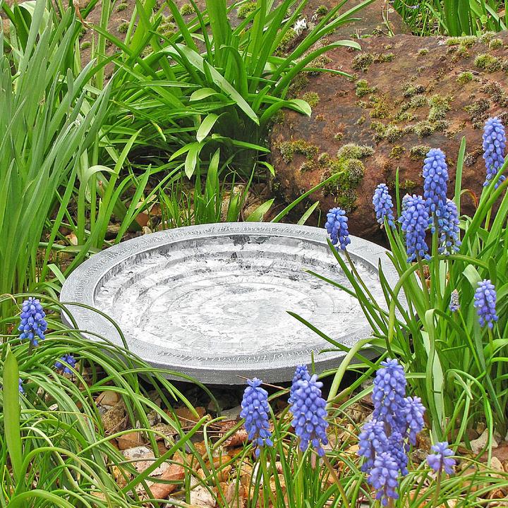 Actual product image Wildlife World Oasis