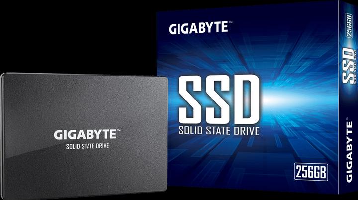 Image du produit Gigabyte GP-GSTFS31256GTND (256 Go, 2.5")