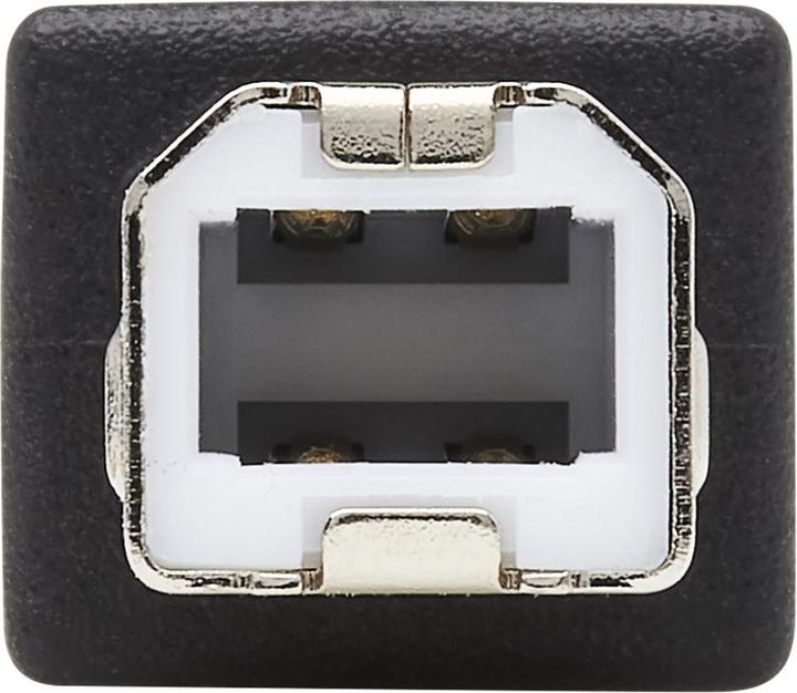 Actual product image Eaton Tripp Lite Series Keyspan High Speed USB to Serial Adapter (DB9F, USB-A, 7.87 cm)