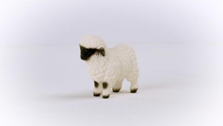 Produktbild Schleich Walliser Schwarznasenschaf