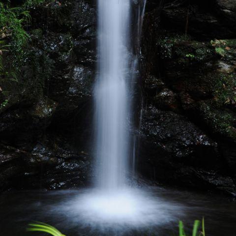 Actual product image Marumi ND8 series DHG (67 mm, Neutral density filter, 67 mm)