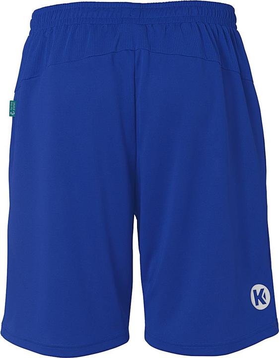 Actual product image Kempa Shorts Performance (140)