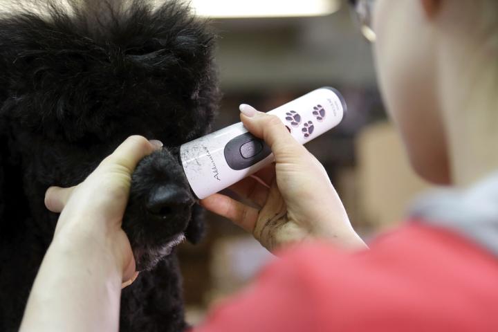 Produktbild Kerbl Akkurata (Hund)