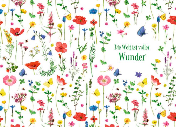 Produktbild Wo Blumen blühen, da lächelt die Welt (Deutsch, Beate Kahramanlar, Kristina Schaefer, Marjolein Bastin, 2022)