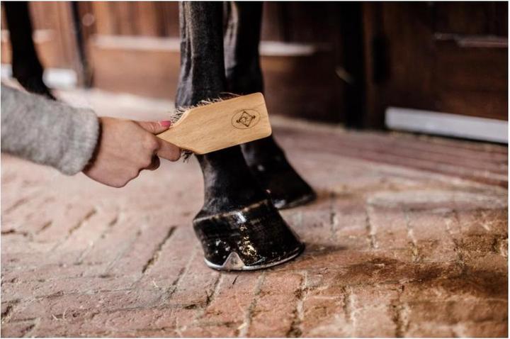 Actual product image Grooming Deluxe Hoof Brush Hoof Brush