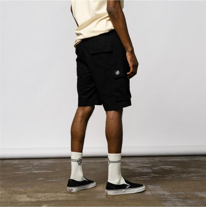 Actual product image Santa Cruz Gauntlet shorts (28)