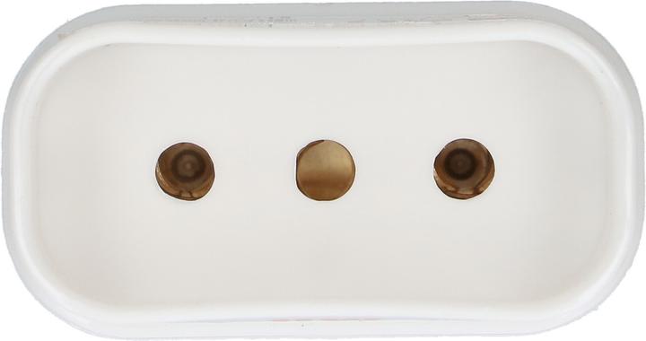 Produktbild Max Hauri T12 Ch-It