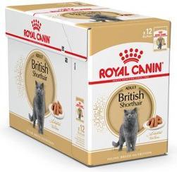 Image du produit Royal Canin British Shorthair (Adulte, 12 pcs, 1020 g)