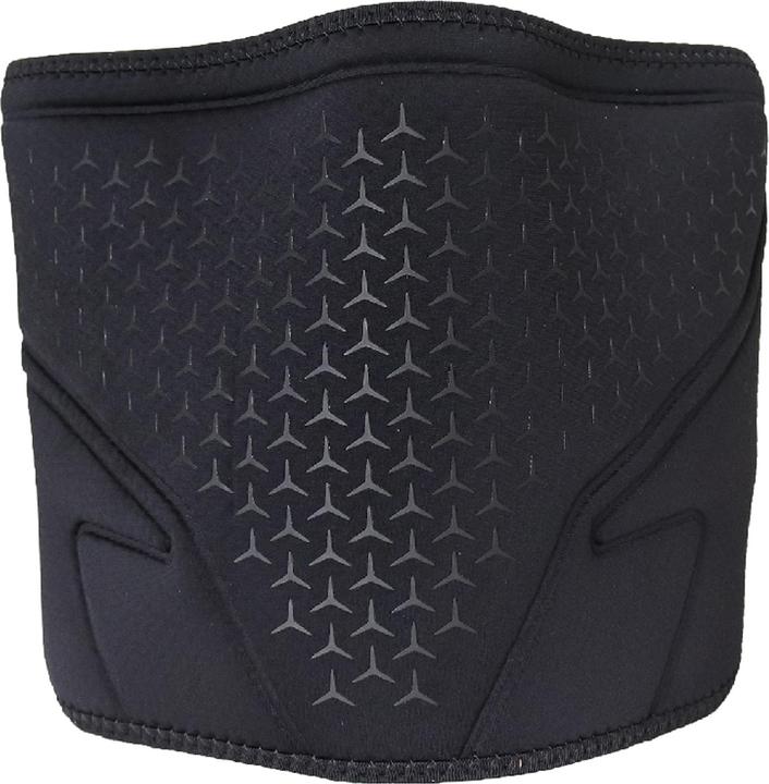 Actual product image Nike Back support Pro 3.0 (M)
