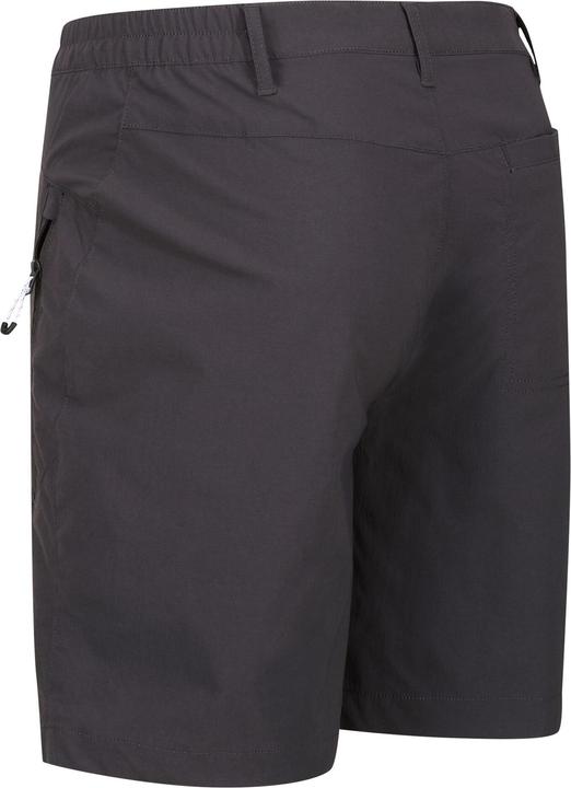 Actual product image Regatta Mens Highton Walking Shorts (46)