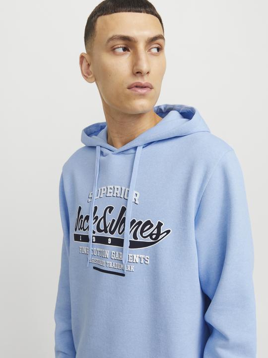 Immagine prodotto Jack & Jones JJELOGO SWEAT HOOD 2 COL 24/25 NOOS (XS)