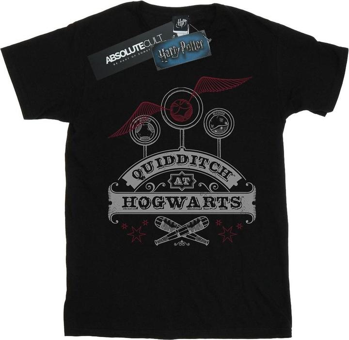 Quidditch At Hogwarts TShirt