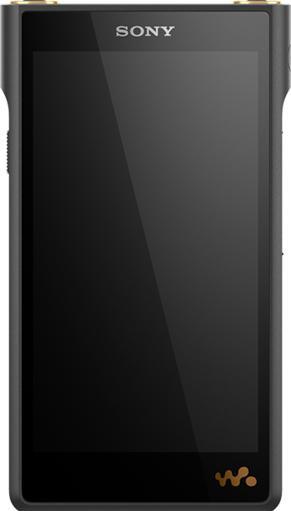 Immagine prodotto Sony WM1AM2 (128 GB)