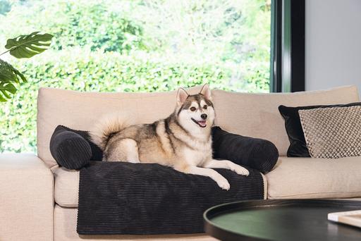 Image du produit Designed by Lotte Coussin de canapé Ribbed (Chien)