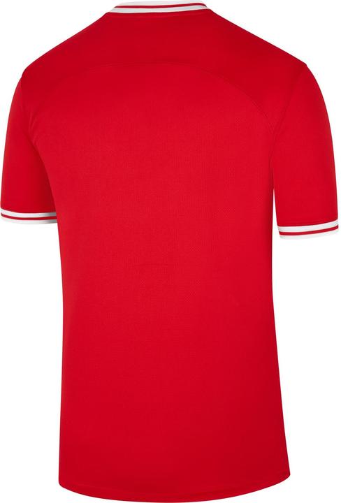 Produktbild Nike Polen Auswärts WM Trikot (L)