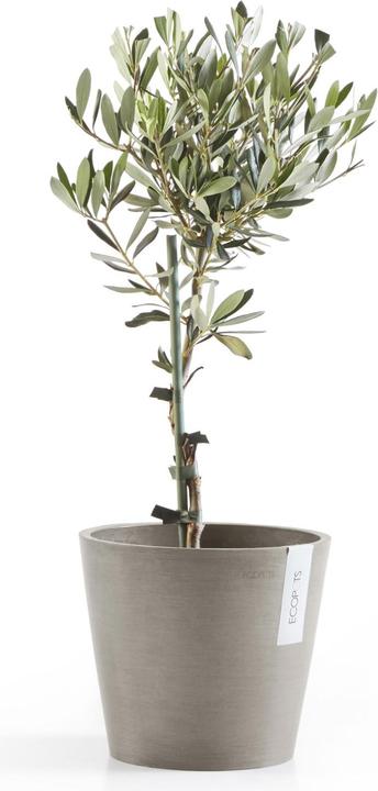 Produktbild Ecopots Amsterdam (20 cm)