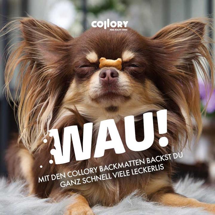 Produktbild Collory Backmatte für grosse Hundeleckerlis Halbkugel (2 cm)
