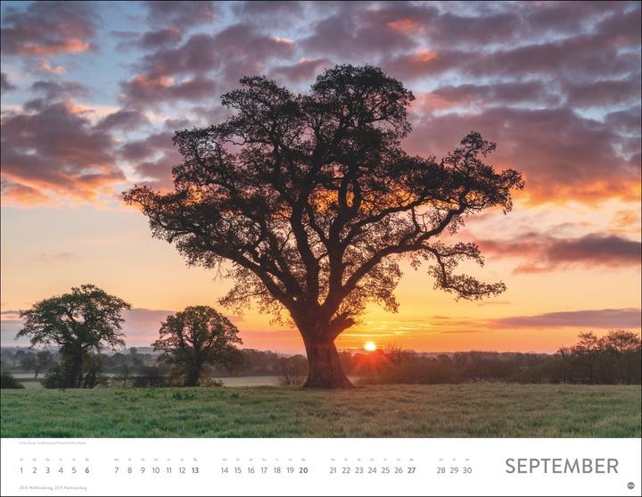 Produktbild Orte der Kraft Posterkalender 2026 (44 x 34 cm, Harter Einband, Deutsch)