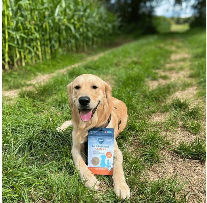 Produktbild marsavet Hunde-Nahrungsergänzung Multi-Mineral Complex 125 g (1 Stk., 125 g)
