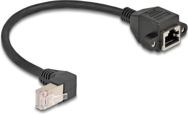 Actual product image Delock Network extension cable S/FTP plug RJ45 connector (S/FTP, CAT6a, 0.25 m)