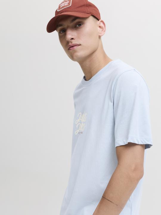 Produktbild Jack & Jones Jortavira Tee Ss Crew Neck Fst Ln (XL)