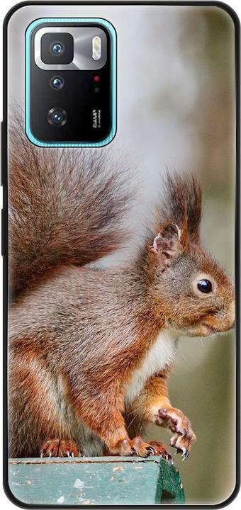Squirrels