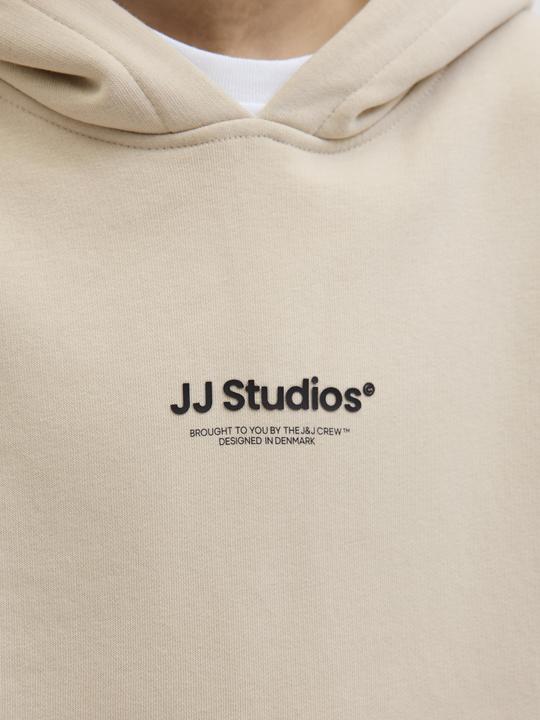 Actual product image Jack & Jones Jjesoho Sweat Hood Noos Jnr (164)