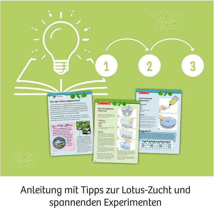 Produktbild Kosmos Lotus-Blume