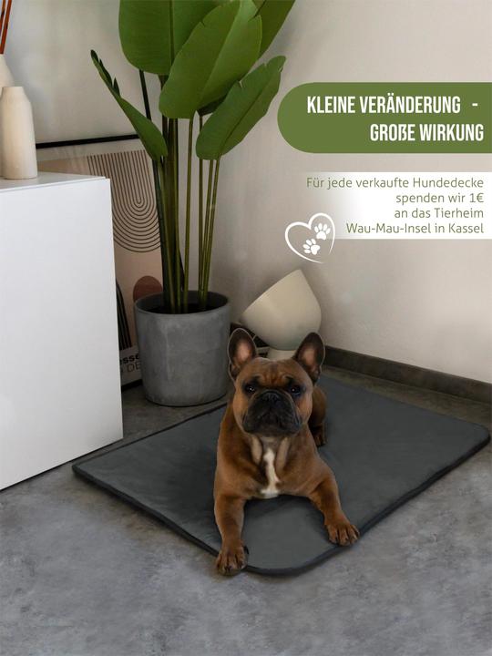 Produktbild Aspero Hundedecke Lund (Hund)