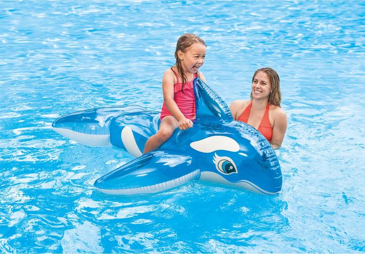 Actual product image Intex Lil' Whale