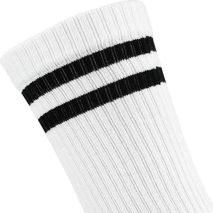 Actual product image Black Snake 6 Pack (pack of 6, 39, 42)