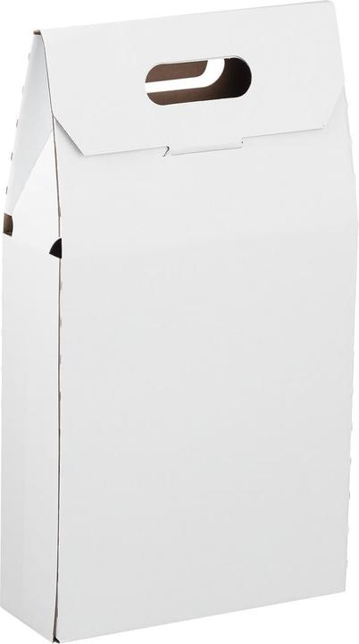 Produktbild Brieger Tragverpackung für Wein 243 x 81 x 37 mm (1 x 33 x 58 cm, 25 x)