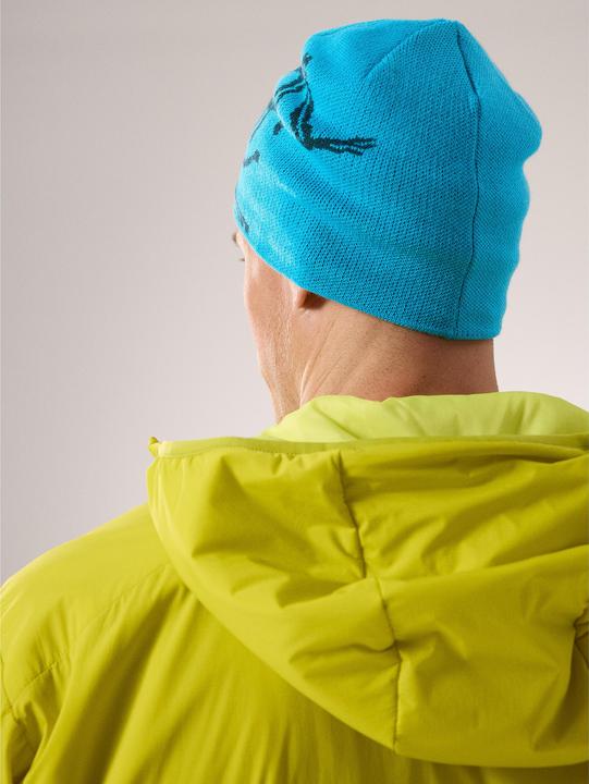 Produktbild Arc'teryx Bird Head Toque (One Size)