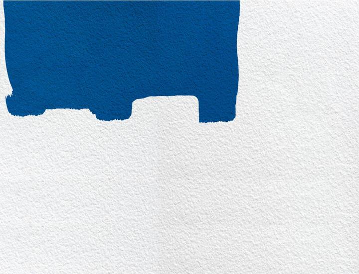 Actual product image Renovator Paint Runner Pro (26 cm)