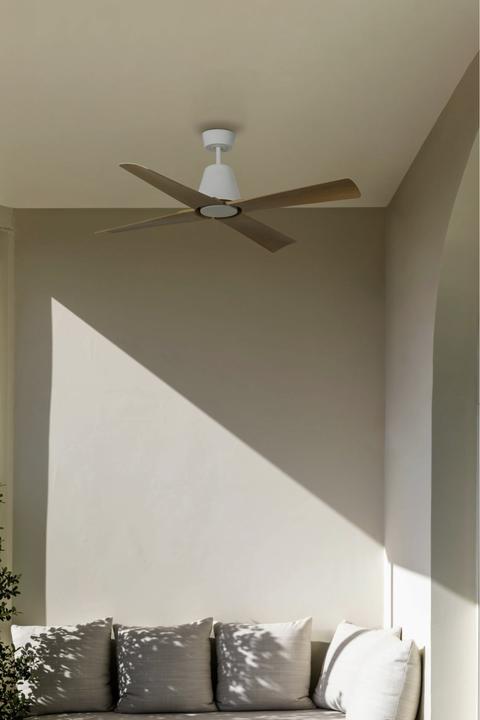 Image du produit Faro Typhoon (50 dB)