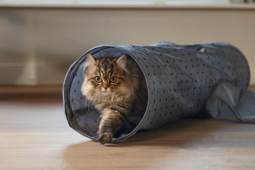 Produktbild Beeztees Katzentunnel Ivy