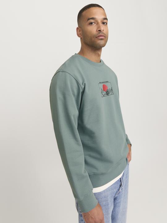 Actual product image Jack & Jones Rddadam Sweat Crew Neck Sn (XL)