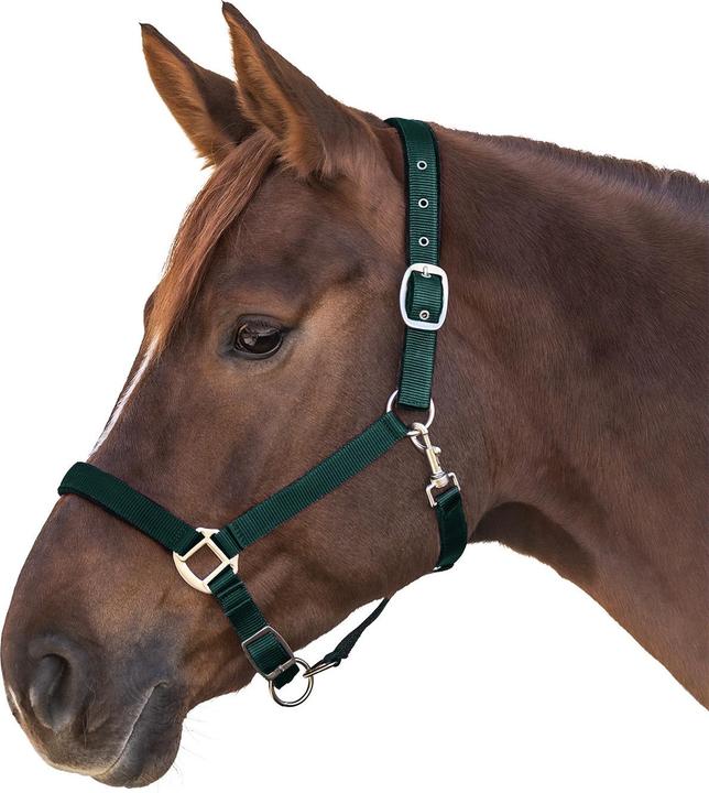 Waldhausen Shetland Satin Halfter
