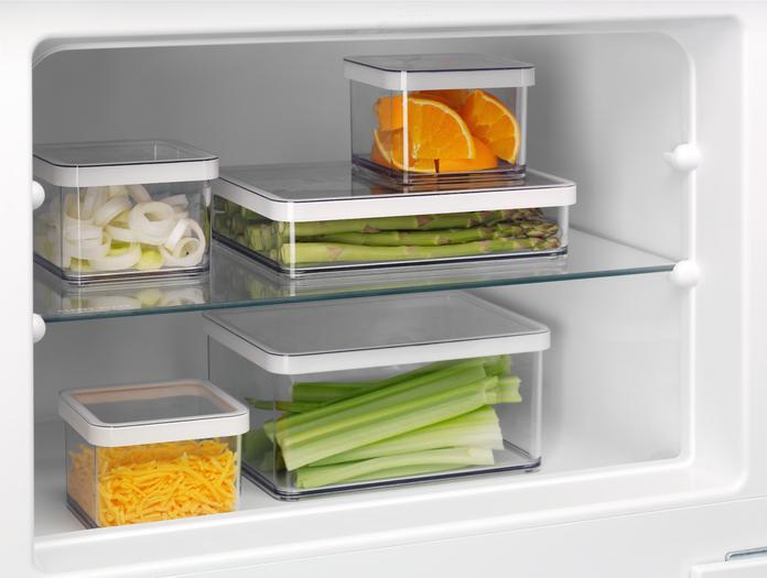 Actual product image Electrolux ColdSense 500 Series KTS5LE14S Refrigerator Double (218 l)