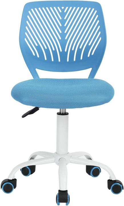 Immagine prodotto Homy Casa Garofano Blu Lm