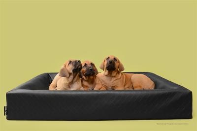 Actual product image Bia Hondenmand Original Square Zwart (Dog)
