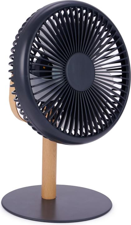 Gingko Beyond Desk Fan