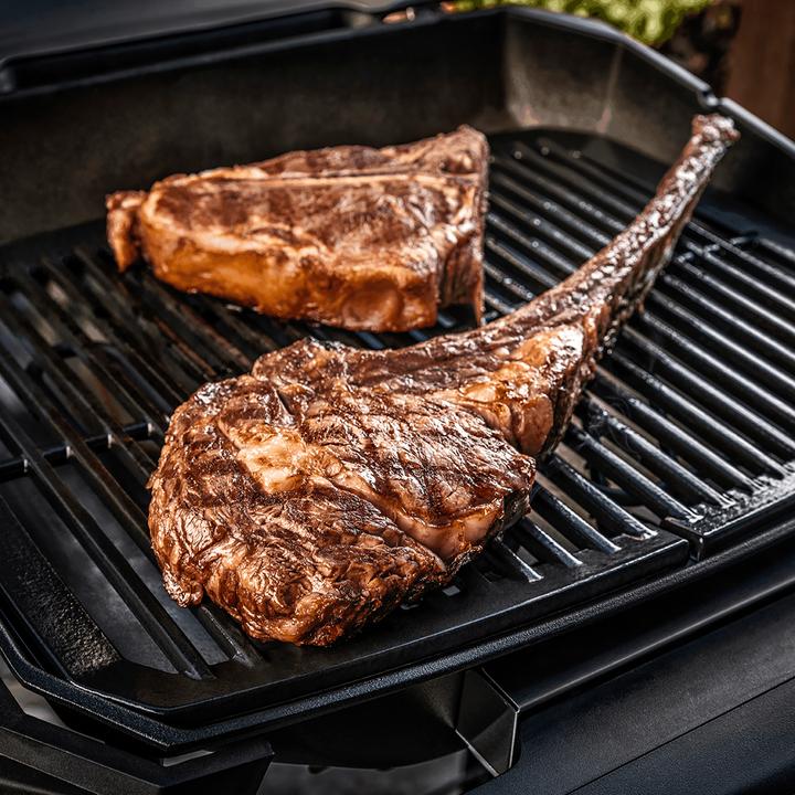 Produktbild Weber Pulse 2000 mit Stand (2.20 kW)