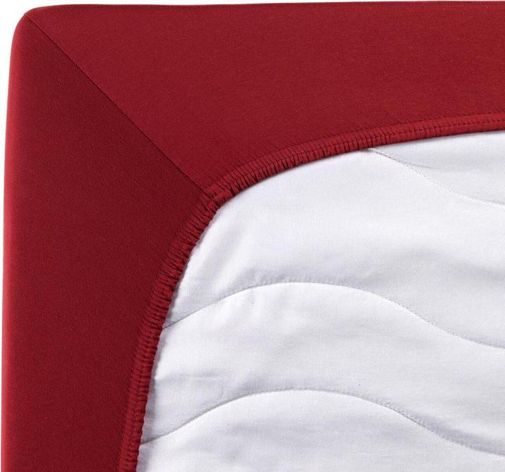 Actual product image Traumschlaf Jersey-Elasthan Stretch (90 x 220 cm, 100 x 220 cm)