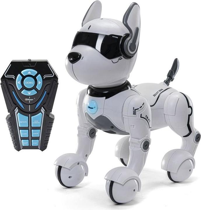 Top Race Roboterhund
