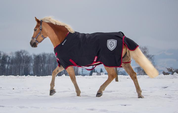 Actual product image Stallone Boston rain cover (155 cm)