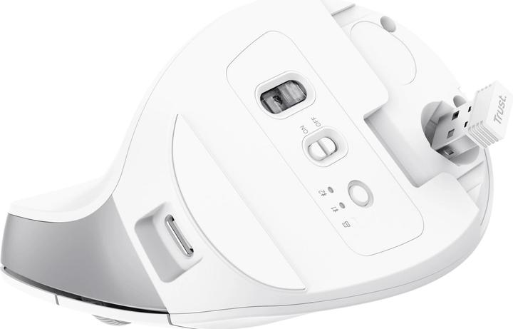 Actual product image Trust Bayo+ Ergonomic Wireless (Wireless)